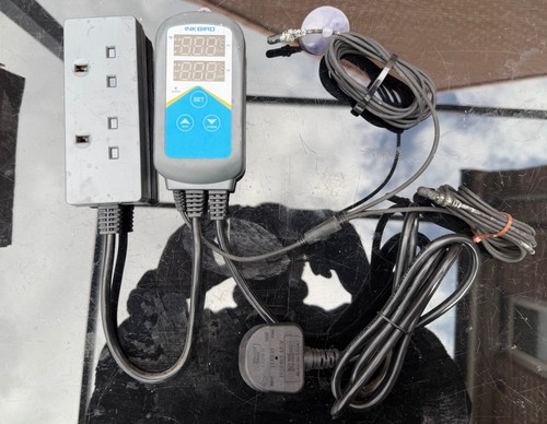 Inkbird itc 306a wifi - inkbird, itc-306a