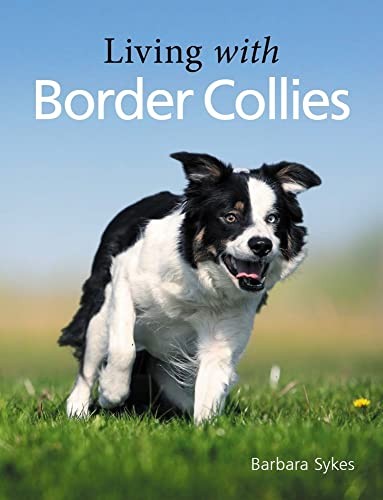 Living with border - living,