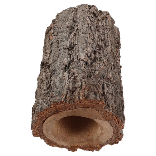 Lizard hide shelters reptile - lizard,