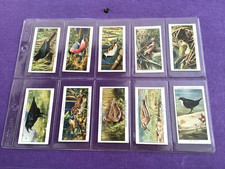 Wild Birds a full set of 50