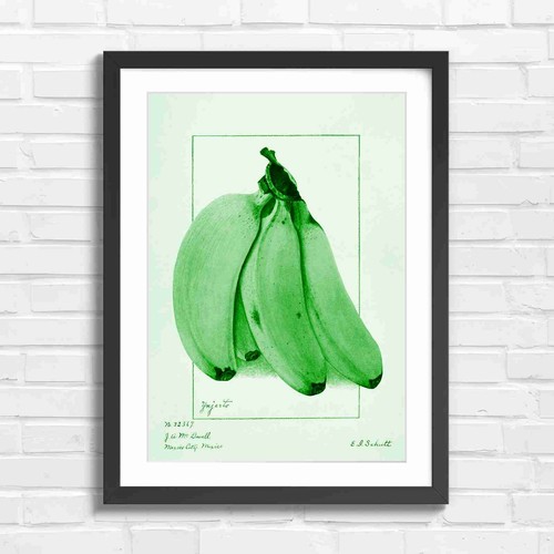 Botanical vintage - botanical,