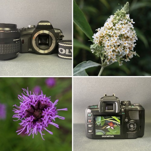 Olympus 410 dslr camera - e-410,