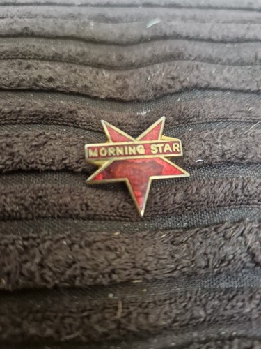 Morning star newspaper - morning,