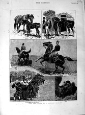 Original Old Antique Print