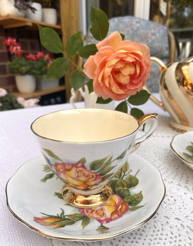 Paragon bone china - bone,