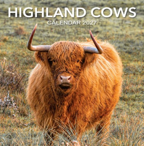 Calendar highland cow - highland,