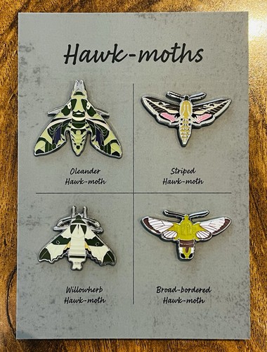 Hawk moths set large - set, 9-12