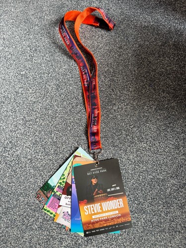 Bst hyde park london stevie - bst,