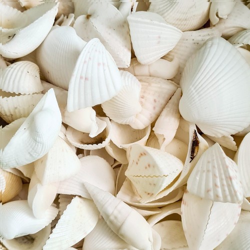 1kg white beach - 1kg,