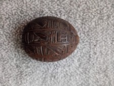 Egyptian scarab beetle