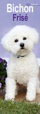 Bichon Frise Slim 2026 Calendar | Slimline Dog Breed Gift 15% OFF MULTI ORDERS