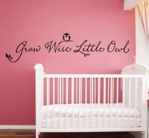 Grow wise little owl vinyl - grow,