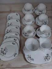 Windsor Bone China Tea Set
