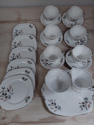 Windsor bone china tea - bone,