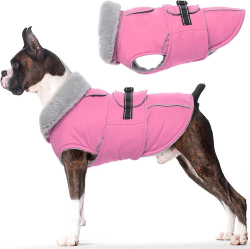 Small medium dog - small, waterproof