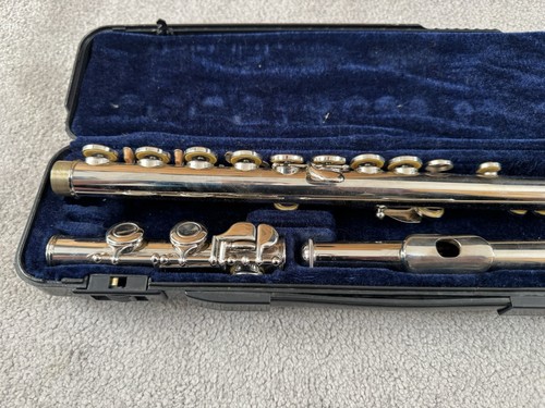 Flute musical instrument - flute,