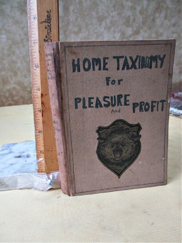 Home taxidermy for - taxidermy, &
