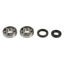 Crankshaft Bearing Set with
