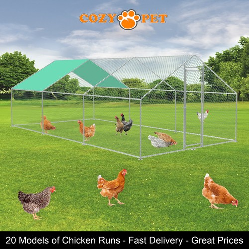 Chicken run 25mm or - chicken, x