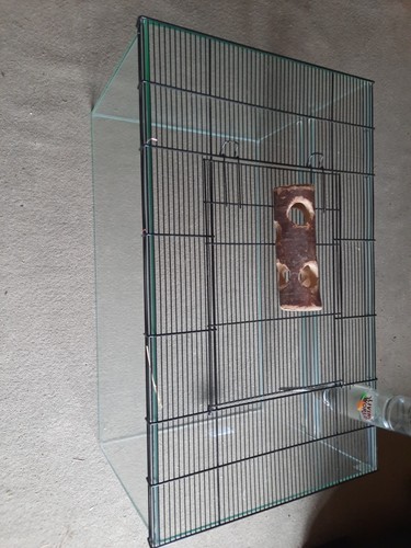 Gerbil rodent cage - gerbil,