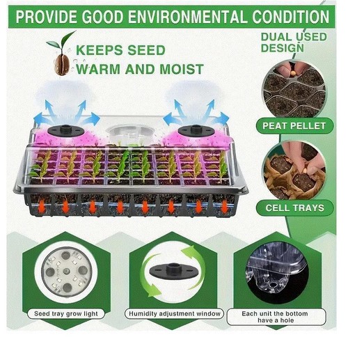 Plant propagator 40 cell - 2,