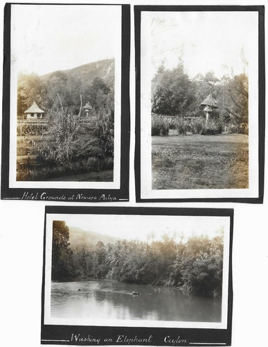 1930s ceylon photos nuwara - ceylon,