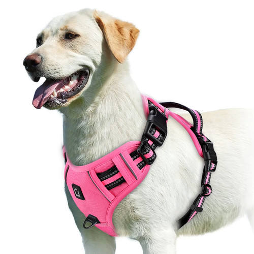 Rabbitgoo pull pet dog - pet,