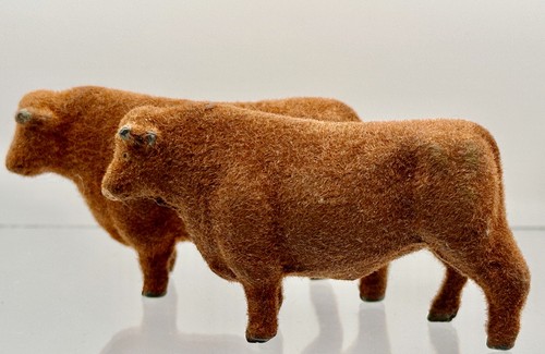 Timpo flocked bulls lot - bulls-lot, of
