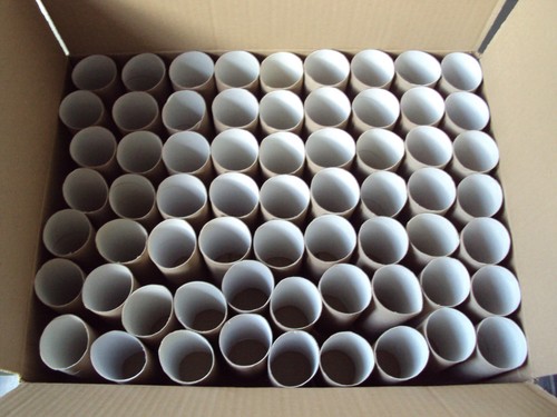 Empty cardboard toilet - 65,