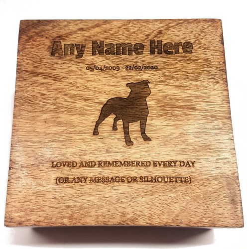 Staffordshire bull terrier - bull,