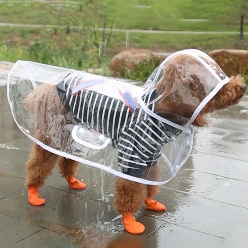 Outdoor pet rain - jacket, with