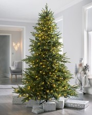 Pre-Lit Traditional Fir
