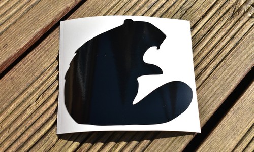 Beaver animal nature vinyl - animal,