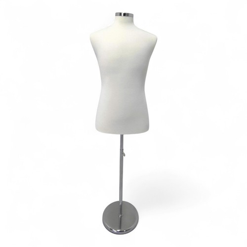 Male display bust - bust, tailors