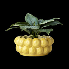 Wide Yellow Plant Pot, Chunky Round Shallow Planter Dish Houseplant Bubble Pot