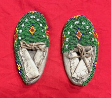 Beautiful Pair of Plains-Style