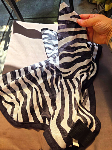 Black white zebra print - black,