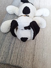 Lovely floppy dog - lovely,
