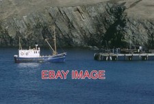 PHOTO  GOOD SHEPHERD III FAIR