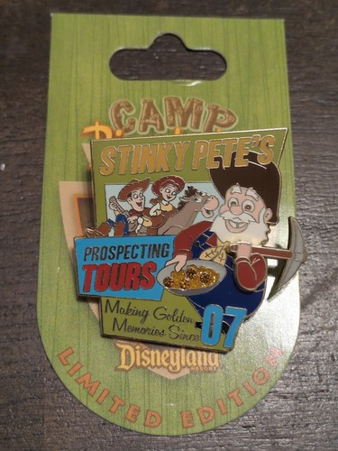 Disney camp pin - disney,