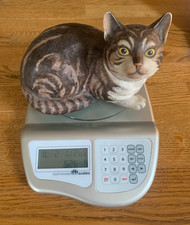 Franklin Mint Porcelain Tabby Cat Figurine "Fascination" 1982  