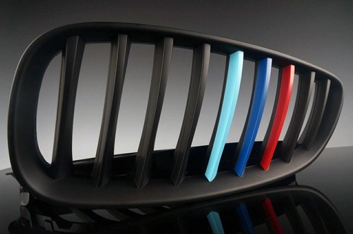 Front kidney grille - front,