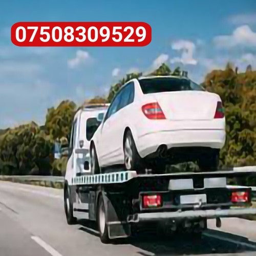 Car vehicle delivery - /,