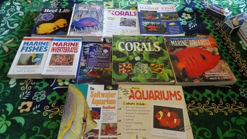 Reef aquarium saltwater - reef,
