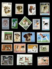 WIRE HAIRED FOX TERRIER DOG