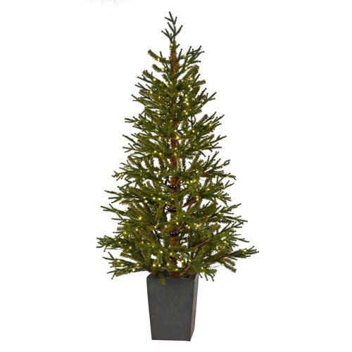5ft potted christmas - 5ft,