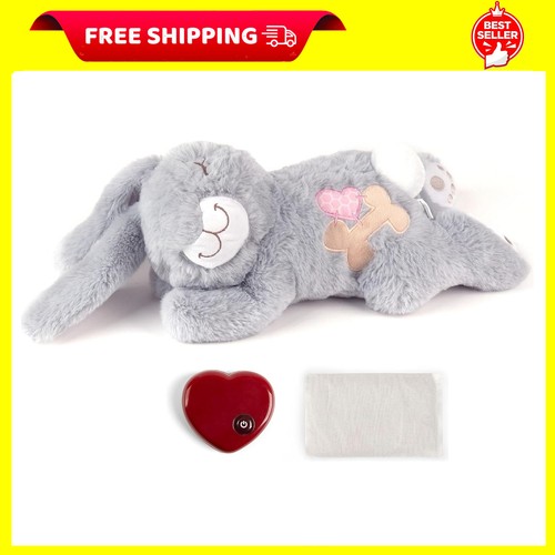 Pet prime dog - pet,
