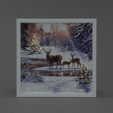 40x40cm Fiber Optic LED Light