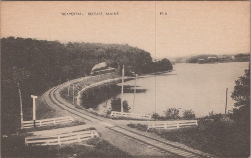 Ale beavertail train - mr,