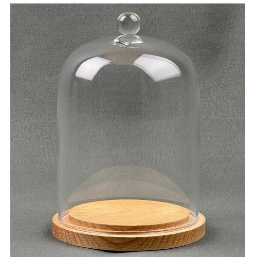 Emh small glass dome - glass, display
